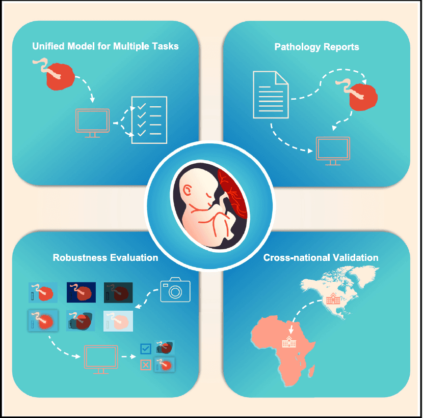 PlacentaVision AI: Revolutionizing Maternal Health with Smart Imaging
